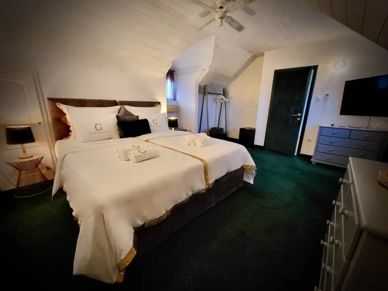 standard-attic-1