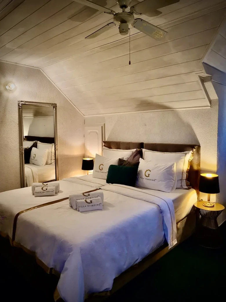 standard-attic-8