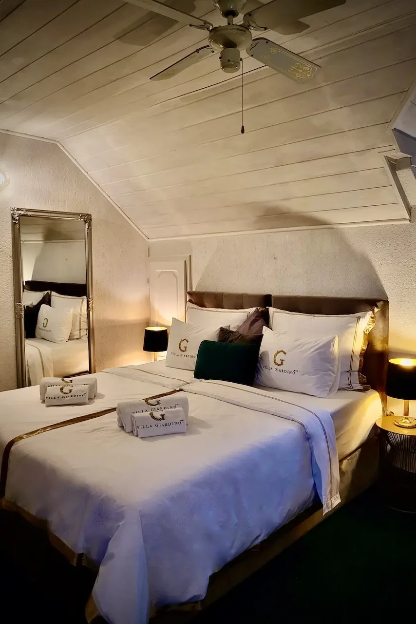 standard-attic-8
